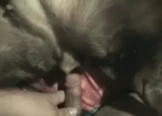 Tight asshole plowed by a dude