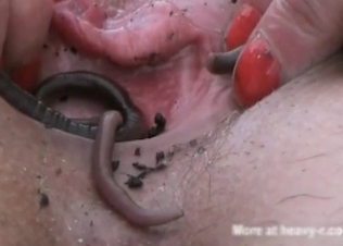 Snakes doing some nasty sexual stuff
