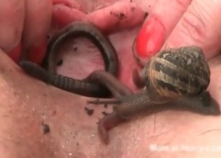 Snakes doing some nasty sexual stuff
