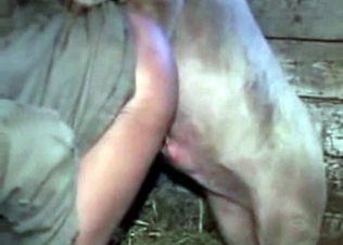 Framer gets fuck by a pig