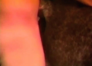 Horse loves anal sex