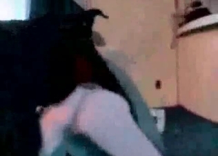 Kinky bitch fucked by a black dog.