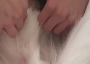 Dog loves all of this cock-riding action