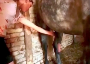 Pussy gets ruined by a grey stallion