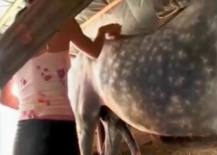 Pussy gets ruined by a grey stallion