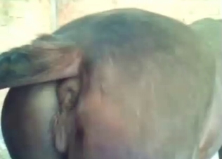 Anal penetration for a naughty horse