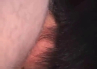 Black dog gets it up the ass