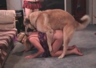 Oral sex session featuring a dog and its owner