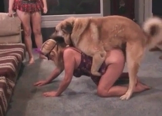 Oral sex session featuring a dog and its owner