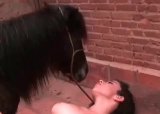 Stacked slut fucking her animal