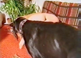 This slutty dog loves sex