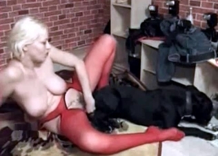 Ass-to-pussy action with a dog