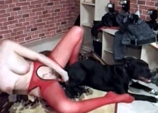 Ass-to-pussy action with a dog