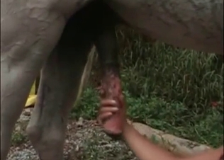 She gets on her knees to suck