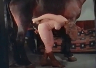 Horse cock blown on cam