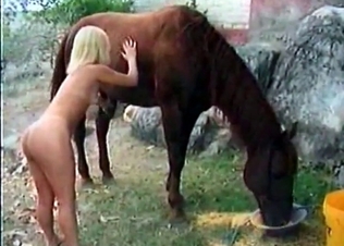 Willy fucking a stunning chick