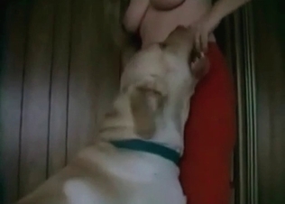 Intense fucking with two hot dogs