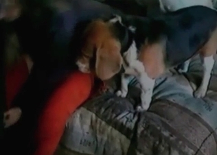 Intense fucking with two hot dogs