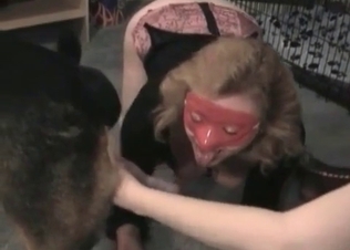Dog gets its dick sucked by a MILF