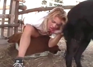 Big dick gets sucked by a zoophile
