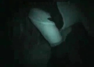 Nighttime animal fucking