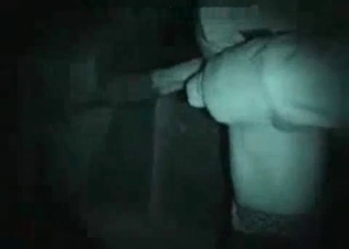 Nighttime animal fucking