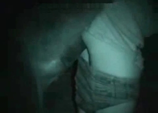 Nighttime animal fucking