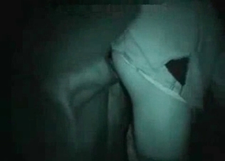 Nighttime animal fucking
