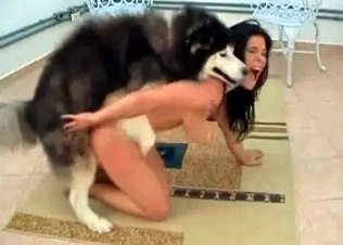 Oral pleasure for a good doggy