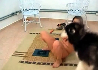 Oral pleasure for a good doggy