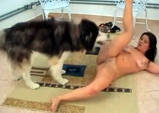 Oral pleasure for a good doggy