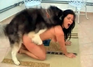 Oral pleasure for a good doggy