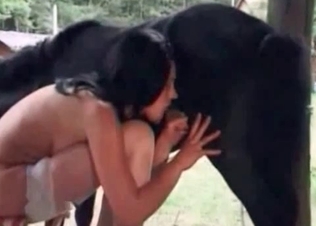 Brunette fucking a mongrel