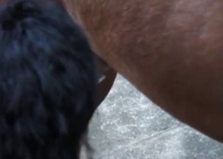 Two tanned bitches chocking on a cam