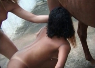 Two tanned bitches chocking on a cam