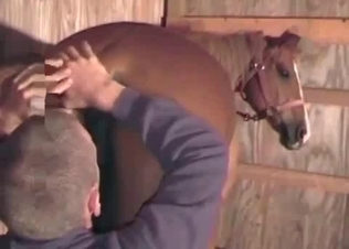 Brown mustang fucking on cam
