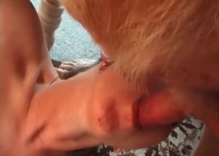 Dog jizzes all over her