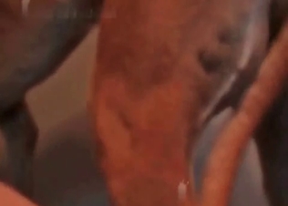 Juicy pussy pounded by a mongrel