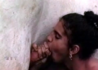 Latina massaging a horse cock