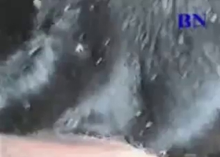 Black goat gets fucked anally by a dude