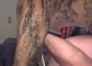 Bedroom pounding for a hot dog