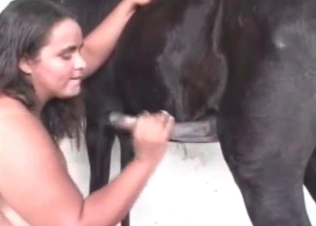 Hung pony fucking that chubby whore