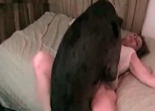 Dog’s cock gets serviced