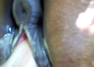 Horse fucking a horny chick