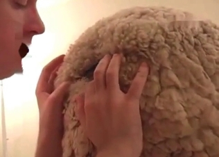 Exploring animal’s tasty anal hole