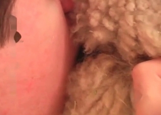 Exploring animal’s tasty anal hole