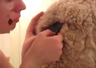 Exploring animal’s tasty anal hole