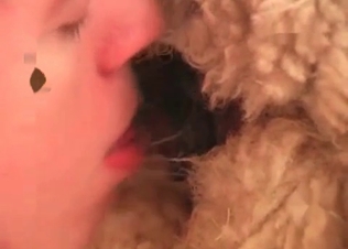 Exploring animal’s tasty anal hole
