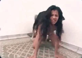 Kinky dog fucking on cam