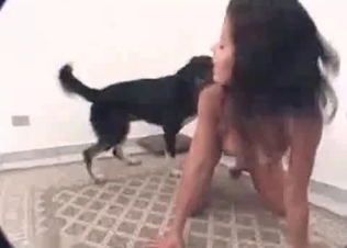Kinky dog fucking on cam